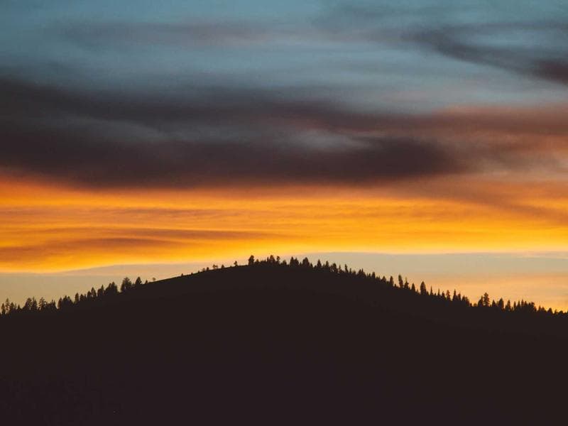 How to Negotiate a Car Price Like a Pro