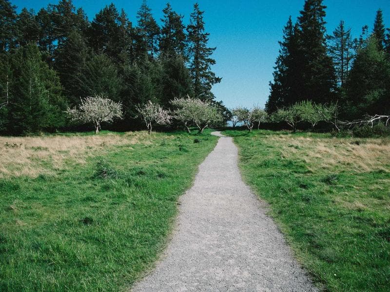 Life Insurance in Your 20s: Why It Is Cheaper Than Your Netflix