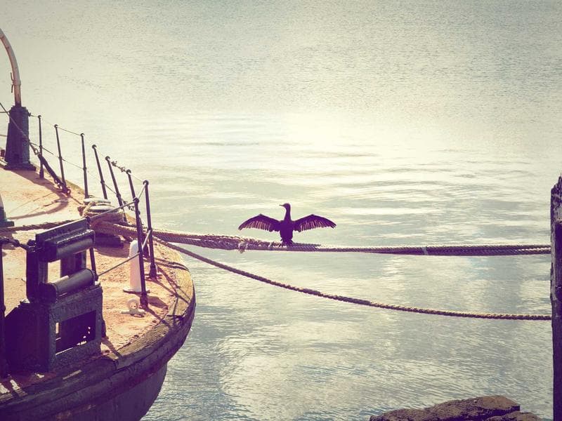 High-Ticket B2B Side Hustles for 2026