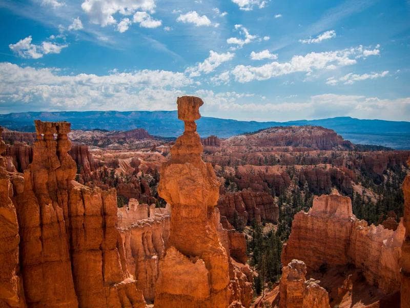 Selling Digital Printables on Etsy: What Still Works