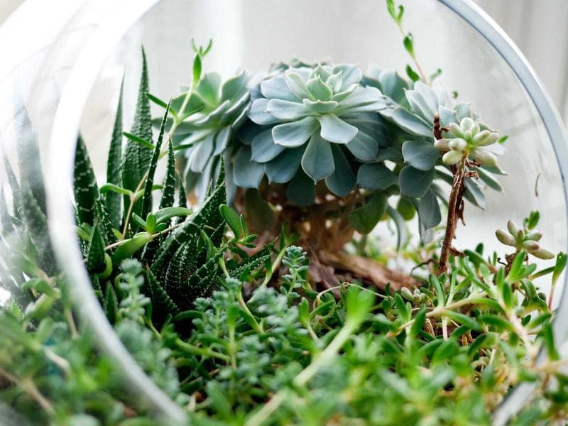 "Loud Budgeting" Phrases You Need to Start Using