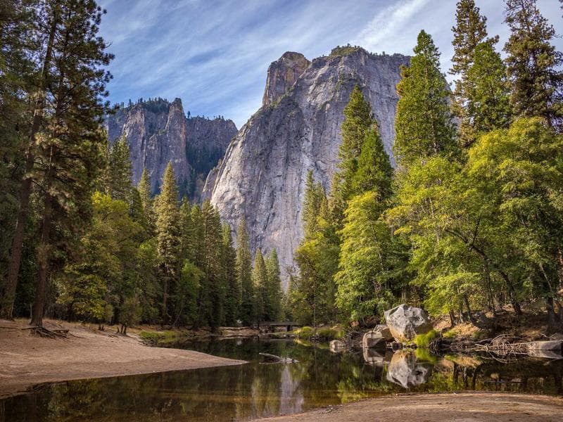 Active Cash Management: Bond Ladders vs CDs